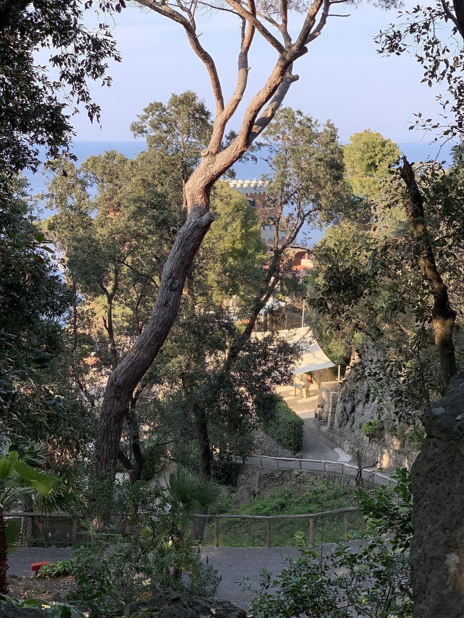 Mezzatorre Hotel & Thermal Spa Forio di Ischia Zewnętrze zdjęcie
