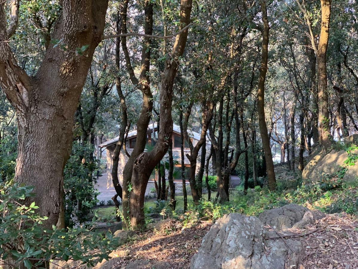 Mezzatorre Hotel & Thermal Spa Forio di Ischia Zewnętrze zdjęcie